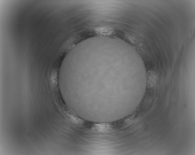 X0000070240713200606161846