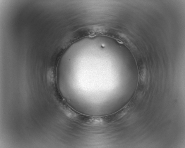 X0000070240715200606161846