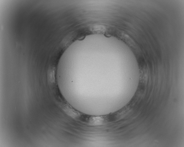 X0000070240717200606161846