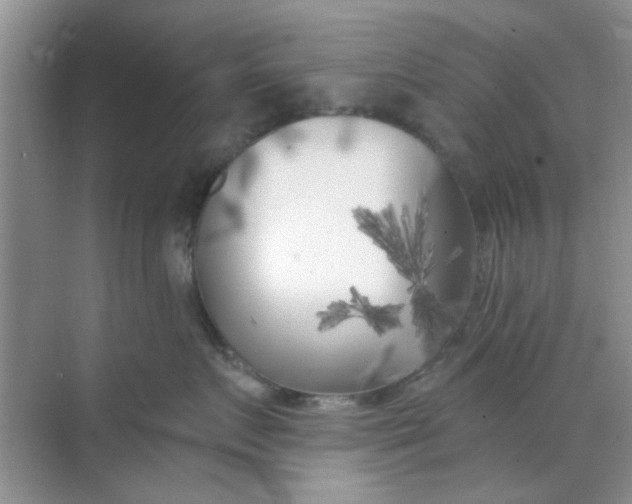 X0000070240719200606161846