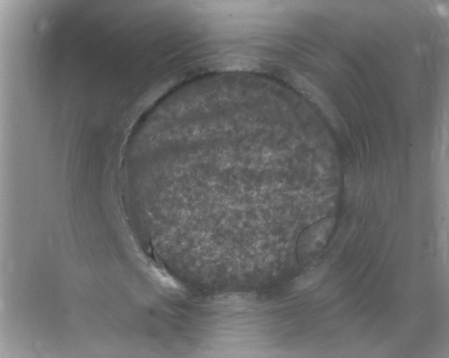 X0000070240721200606161845