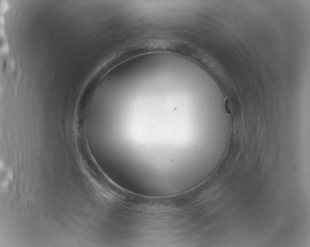 X0000070240722200606161845