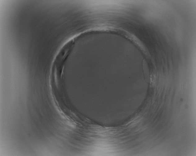 X0000070240724200606161845