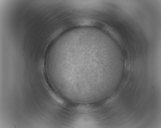 X0000070240725200606161845