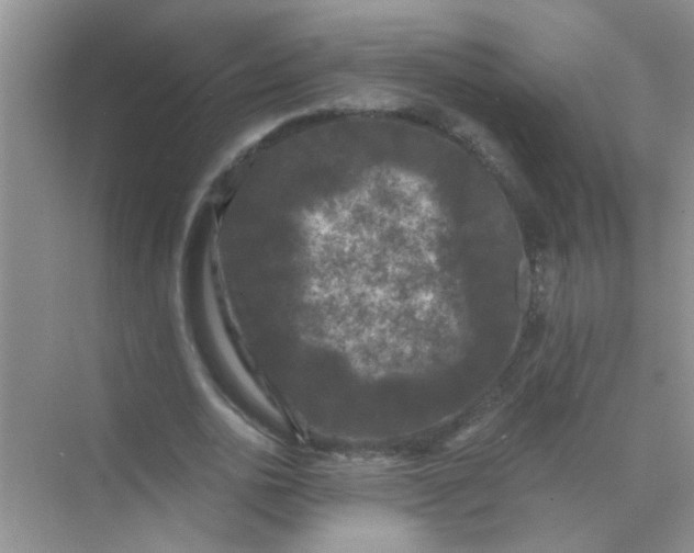 X0000070240726200606161845