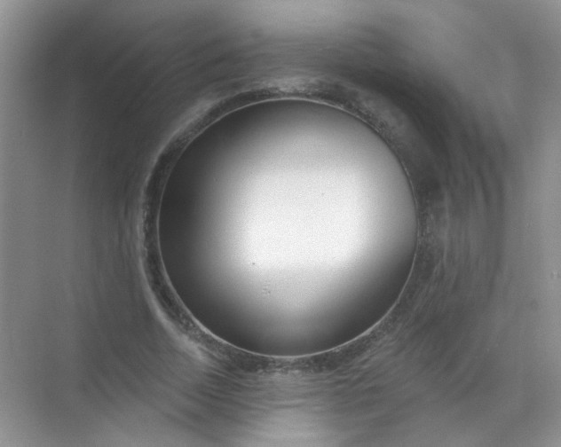 X0000070240730200606161845