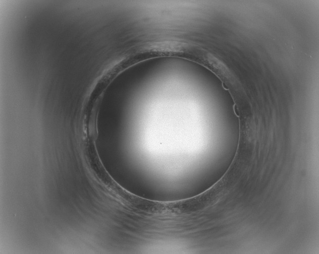 X0000070240731200606161845