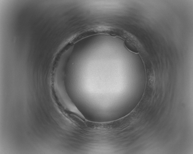 X0000070240732200606161845