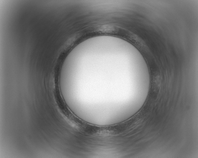 X0000070240734200606161845