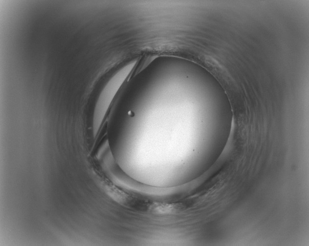 X0000070240735200606161845