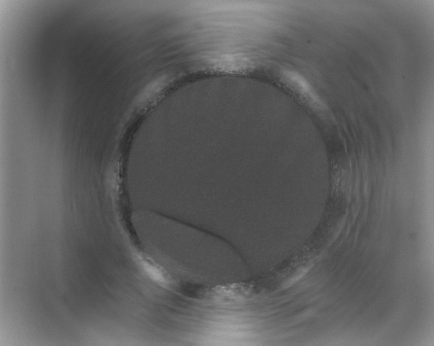 X0000070240736200606161845