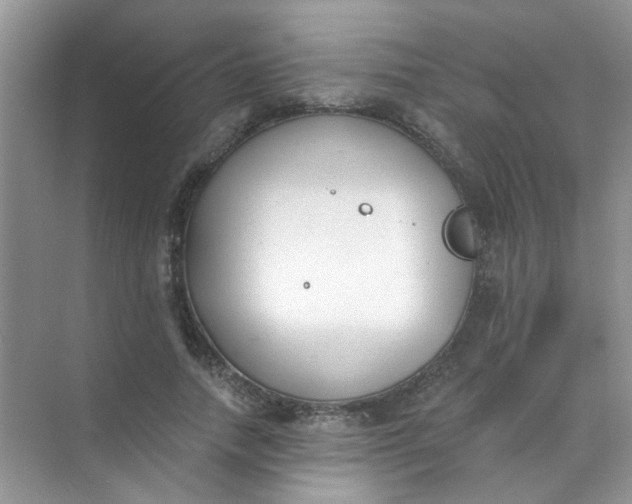 X0000070240738200606161845