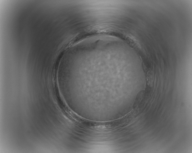 X0000070240740200606161845