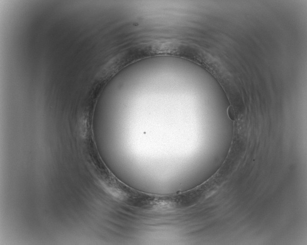 X0000070240741200606161845