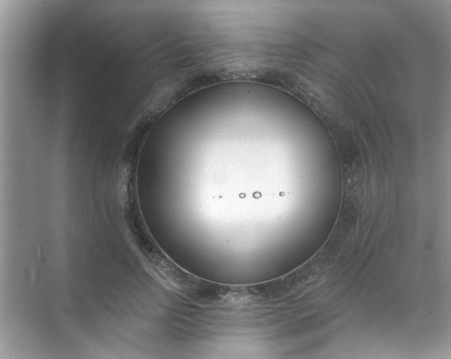 X0000070240742200606161845