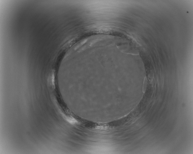 X0000070240744200606161845