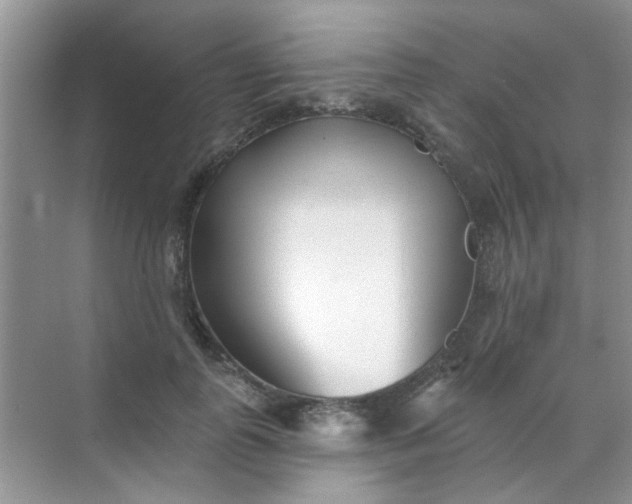 X0000070240747200606161845