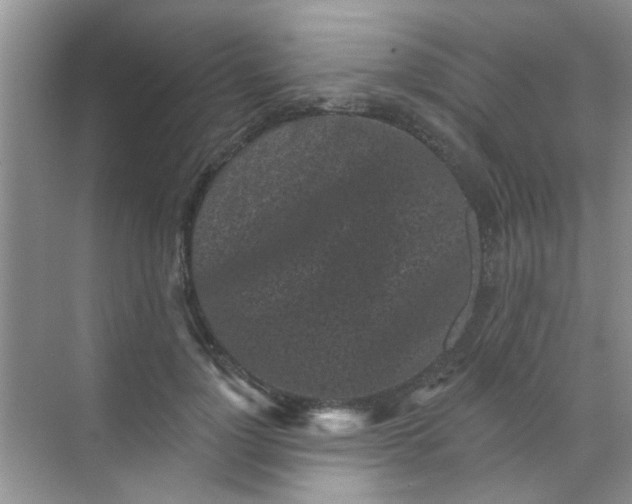 X0000070240748200606161845