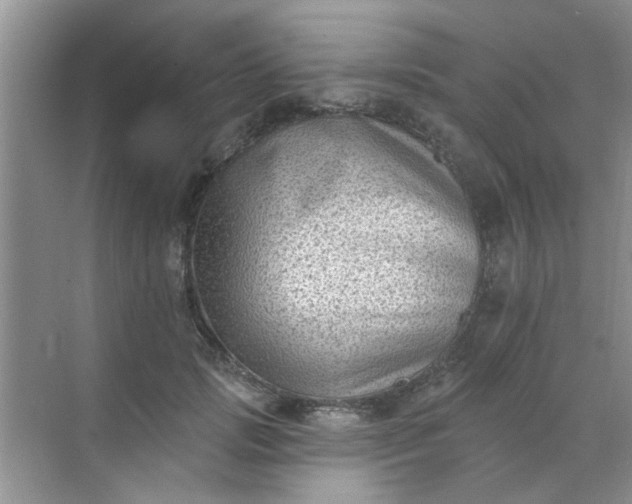 X0000070240749200606161845