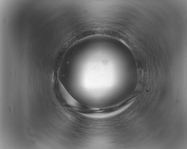 X0000070240750200606161845