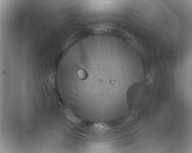 X0000070240753200606161845