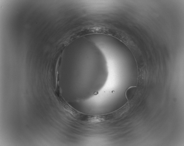 X0000070240754200606161845