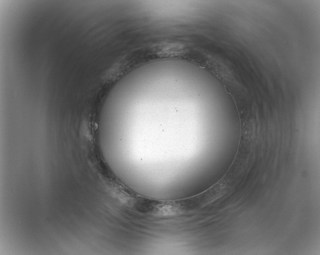 X0000070240755200606161845