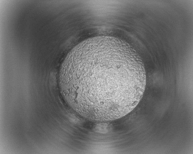 X0000070240757200606161845