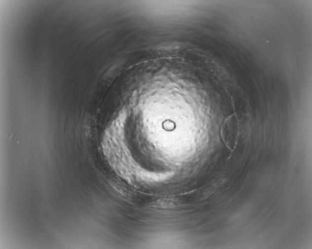 X0000070240758200606161845