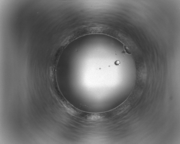 X0000070240759200606161846