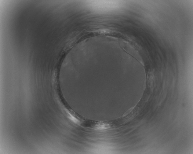 X0000070240760200606161846