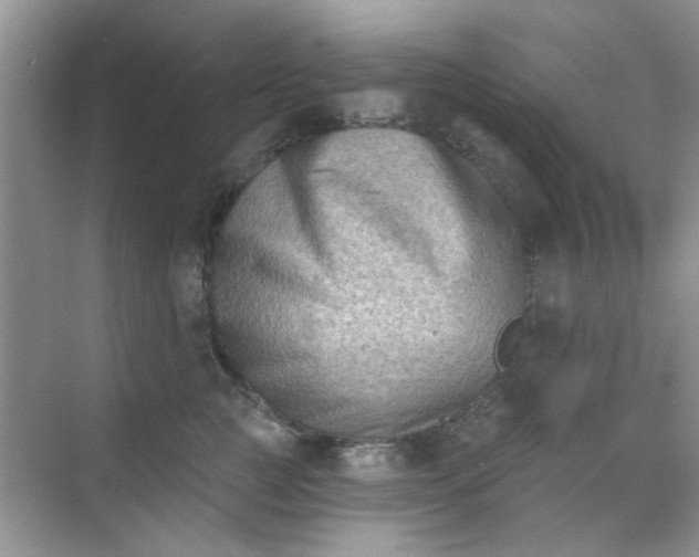 X0000070240761200606161846