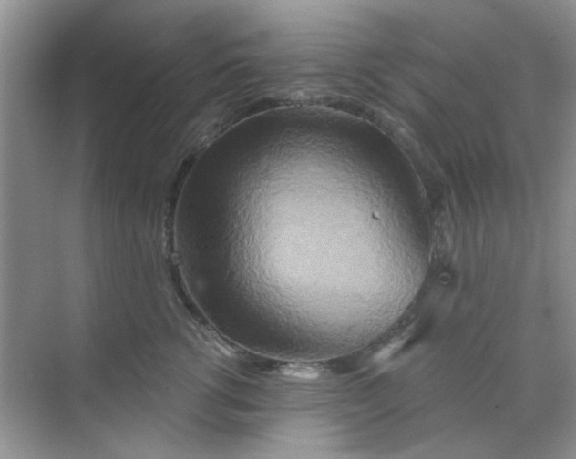 X0000070240762200606161846