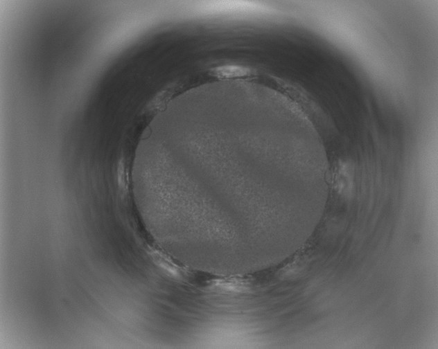 X0000070240763200606161846