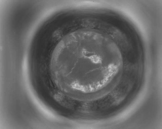 X0000070240765200606161846