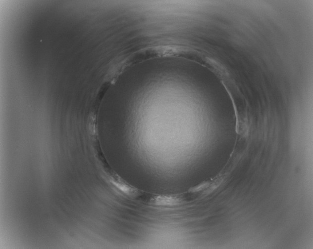 X0000070240766200606161846