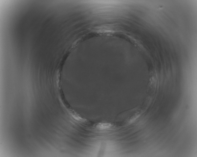 X0000070240767200606161846