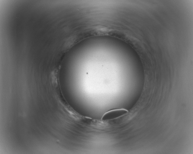 X0000070240768200606161846