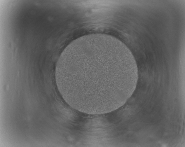 X0000070240769200606161845