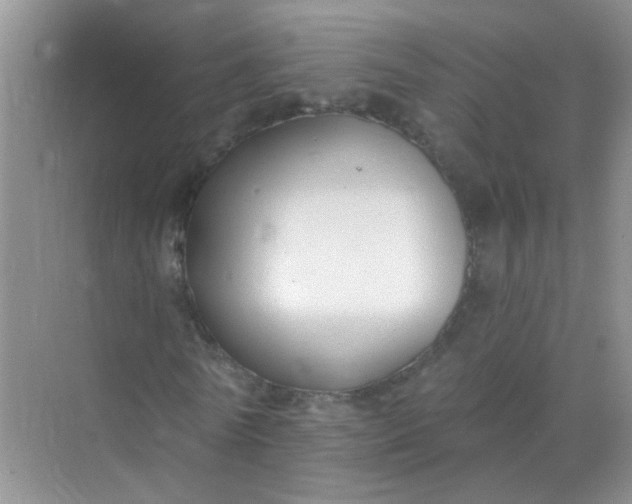 X0000070240770200606161845