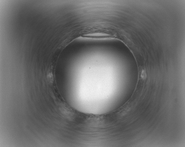 X0000070240771200606161845