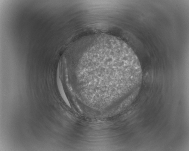 X0000070240772200606161845