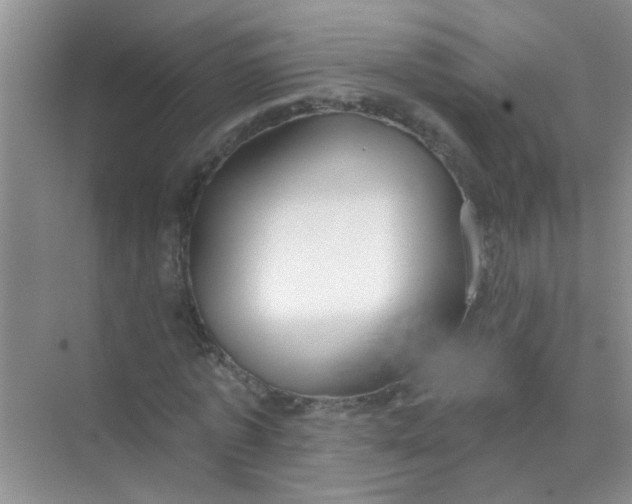 X0000070240773200606161845