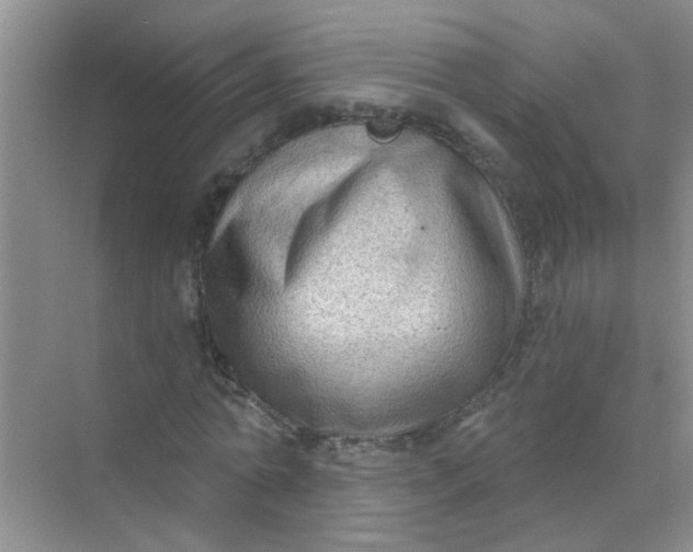 X0000070240774200606161845