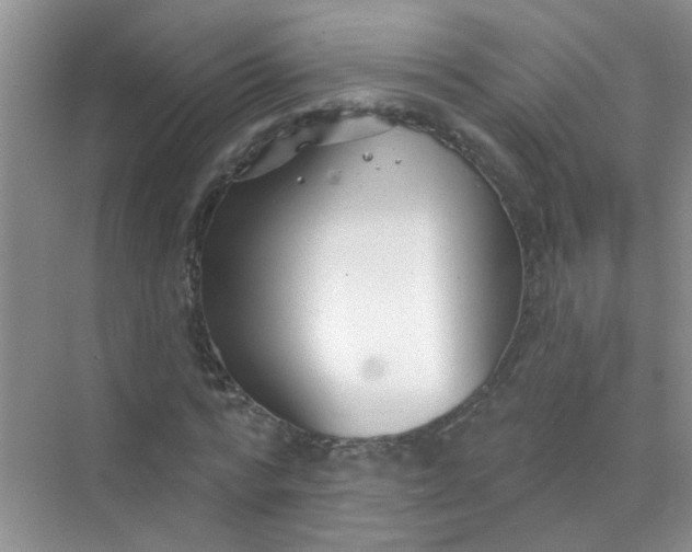 X0000070240776200606161845