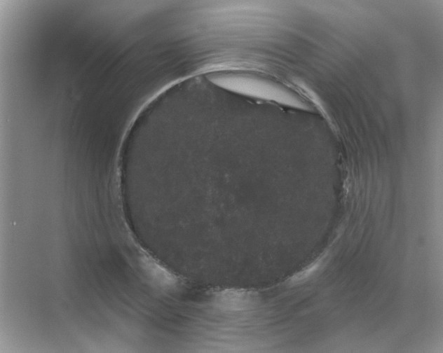 X0000070240779200606161845