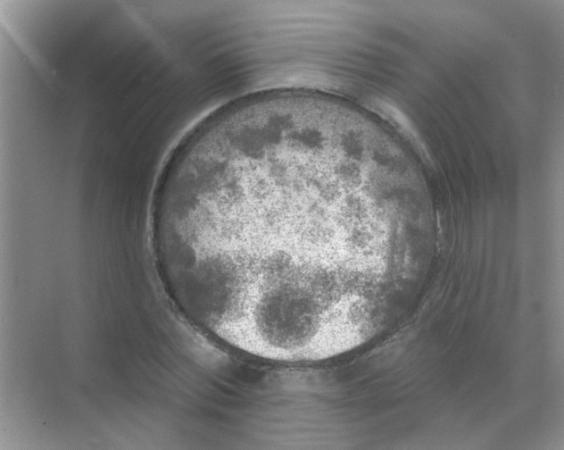 X0000070240780200606161845