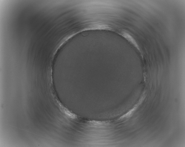 X0000070240781200606161845