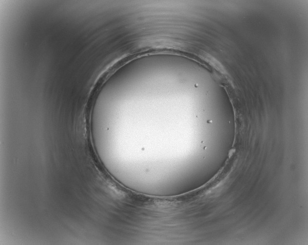 X0000070240782200606161845