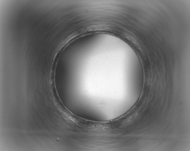 X0000070240786200606161845